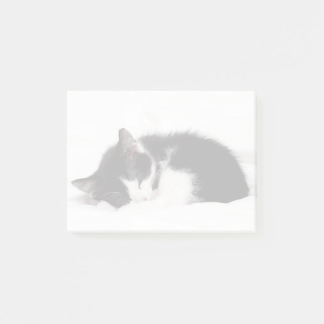 Sleeping Kitten Post-it Notes (Front)