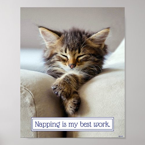 Sleeping Kitten Poster