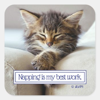 Sleeping Kitten Square Sticker by AvantiPress at Zazzle