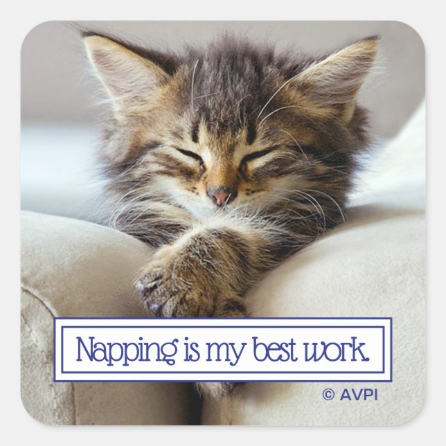 Sleeping Kitten Square Sticker (Front)