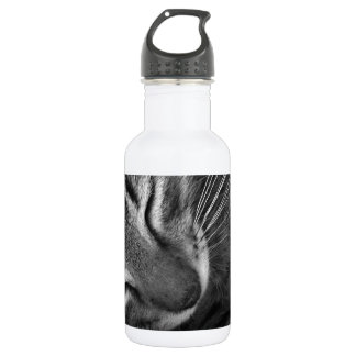 Sleeping Kitten Stainless Steel Water Bottle
