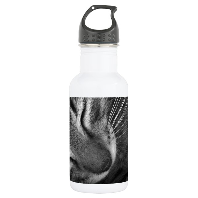 Sleeping Kitten Stainless Steel Water Bottle (Front)