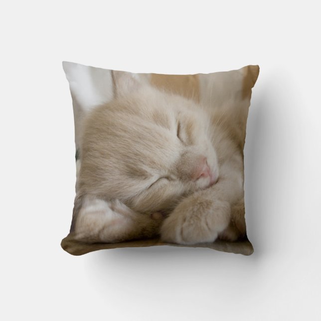 Sleeping Kitten Throw Pillow (Front)