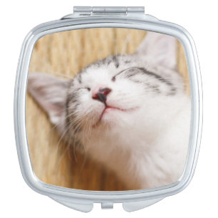 Sleeping Kitten Vanity Mirror