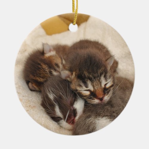 Sleeping kittens ceramic ornament