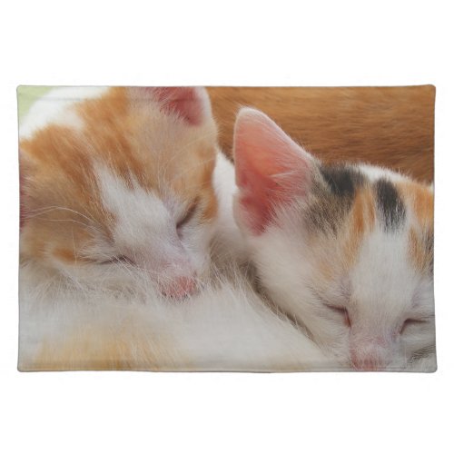 Sleeping Kittens Cloth Placemat