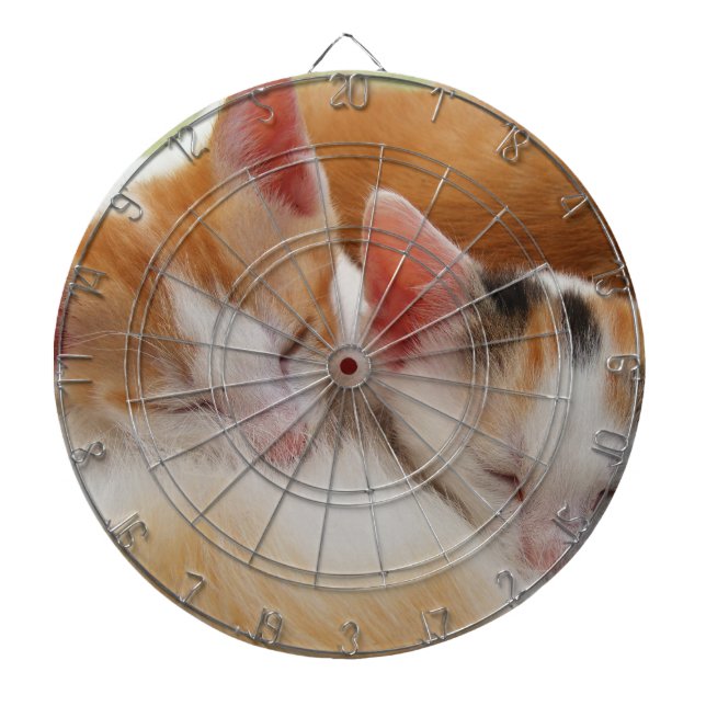 Sleeping Kittens Dartboard With Darts (Front)