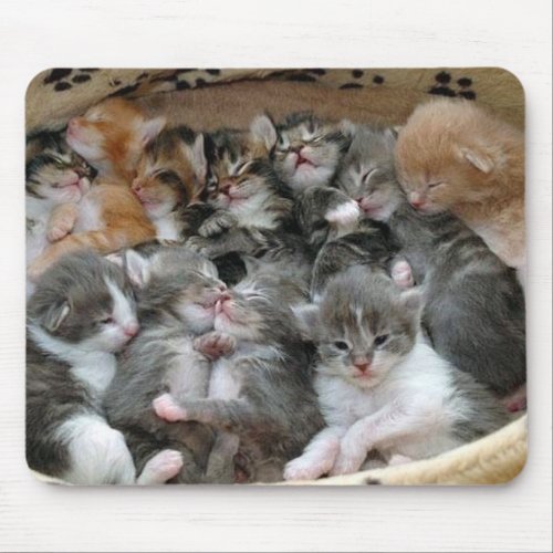 Sleeping Kittens Mouse Pad