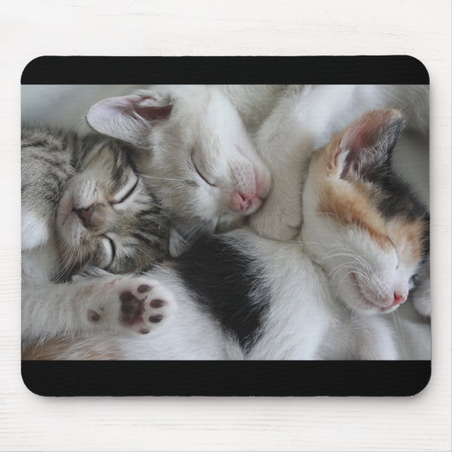 Sleeping Kittens Mouse Pad (Front)