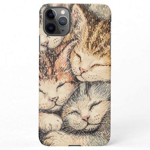 Sleeping Kittens - Pointillism Art iPhone 11Pro Max Case