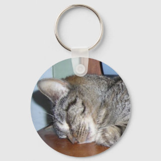 sleeping kitty angel keychain