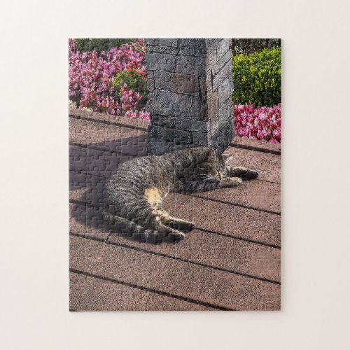 Sleeping Kitty Cat on Sunny Porch Jigsaw Puzzle