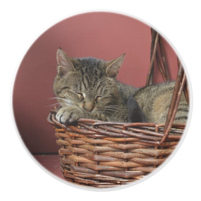 Sleeping Kitty Ceramic Knob (Front)