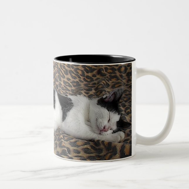Sleeping Kitty Two-Tone Coffee Mug (Right)