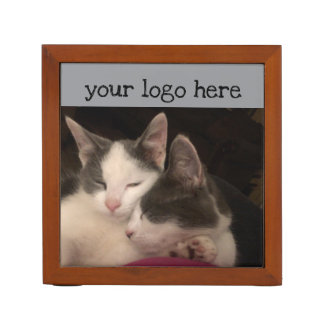 Sleeping kitty's desk organizer