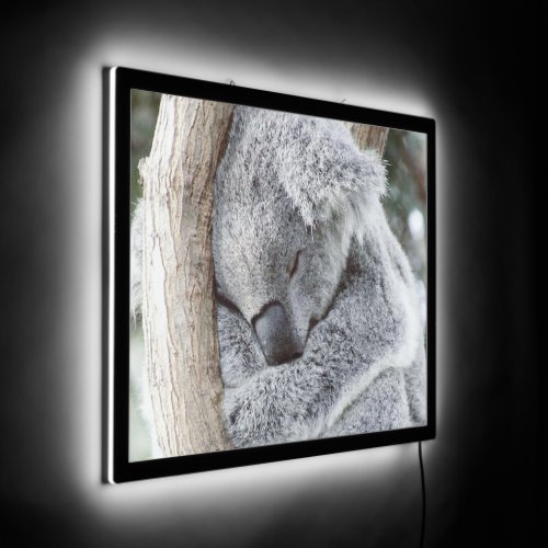 Sleeping koala baby LED sign