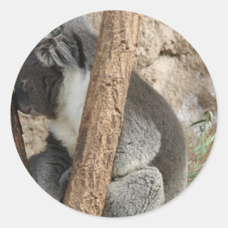 Sleeping Koala Classic Round Sticker