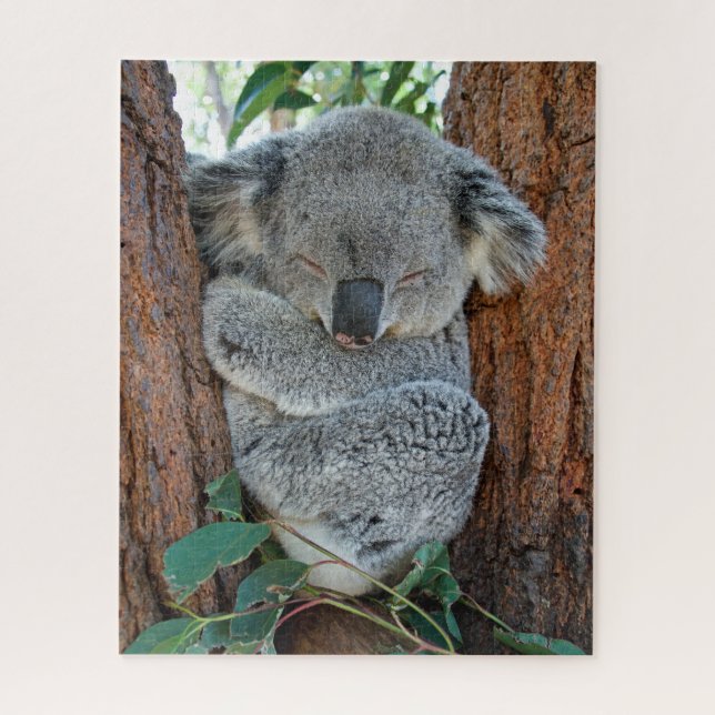 Sleeping Koala, Jigsaw Puzzle (Vertical)