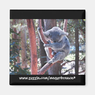Sleeping Koala Magnet