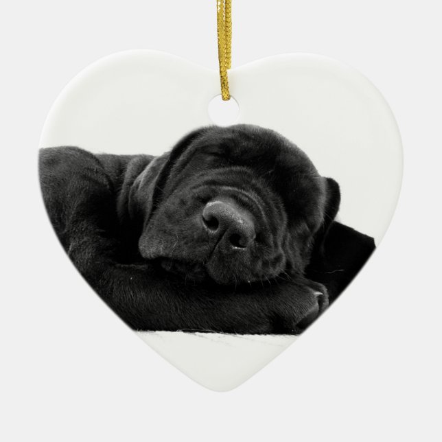 Sleeping Lab Ornament (Front)