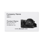 Sleeping Lab Puppy Dog Business Card