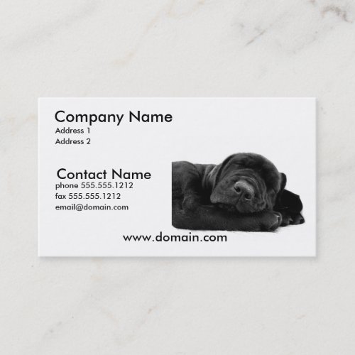 Sleeping Lab Puppy Dog Business Card