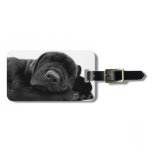 Sleeping Lab Puppy Luggage Tag