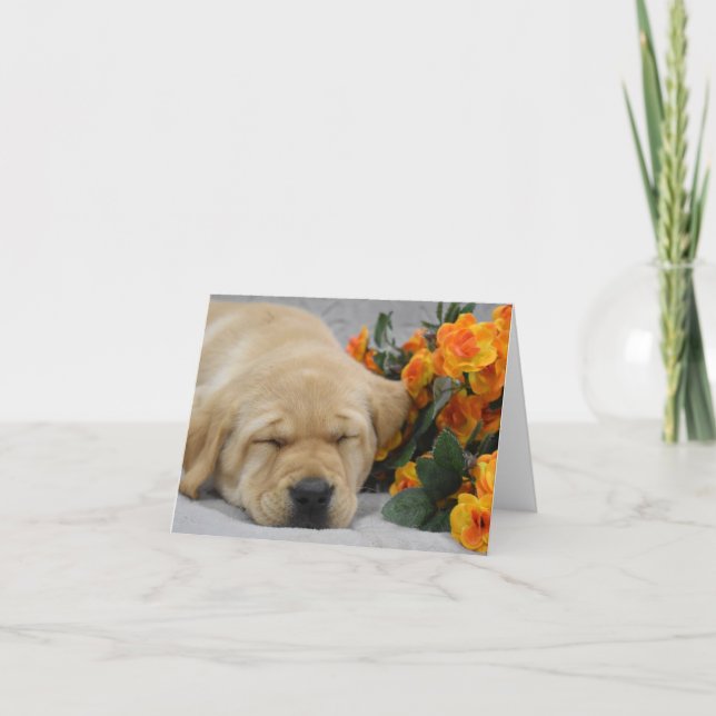 Sleeping Labrador Puppy with Flowers Note Card (Front)