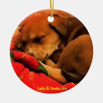 Sleeping Leeloo Christmas Ornament by dbrown0310 at Zazzle