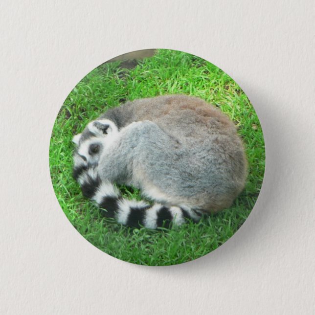 Sleeping Lemur On Grass Pinback Button (Front)