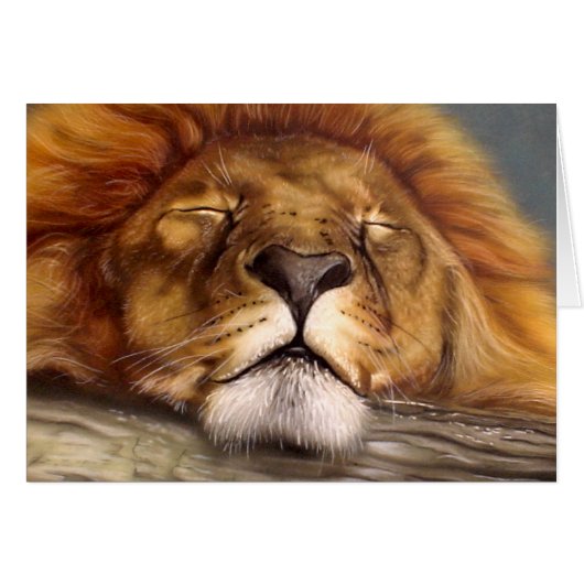 Sleeping Lion Cards (Front Horizontal)