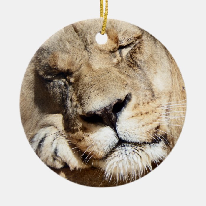 Sleeping Lion Christmas Ornament