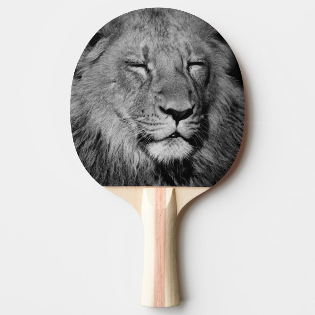 Sleeping Lion Ping Pong Paddle (Front)