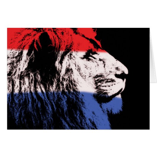 Sleeping lion profile cards (Front Horizontal)