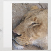 Sleeping Lioness (Front/Back)