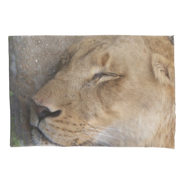 sleeping lioness pillow case (Front)