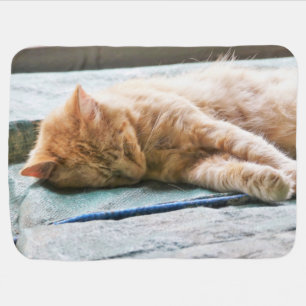 Sleeping Longhaired Ginger Cat Baby Blanket
