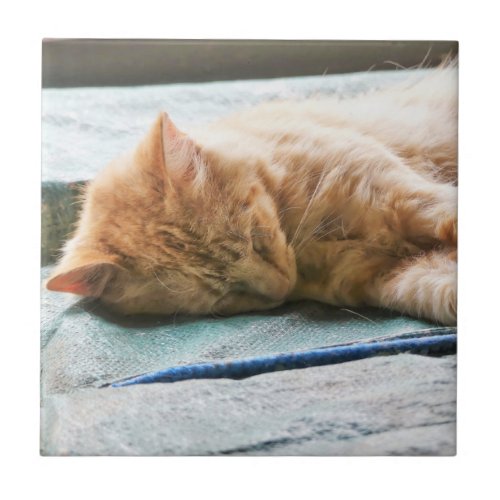 Sleeping Longhaired Ginger Cat Ceramic Tile