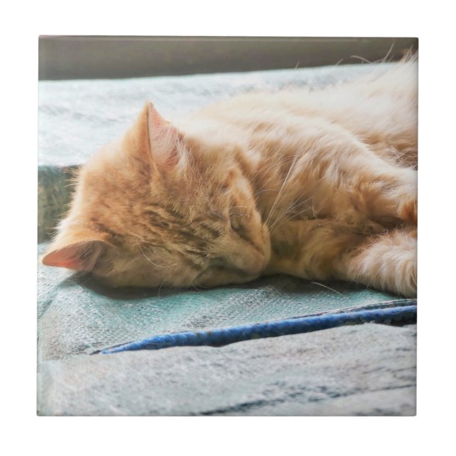 Sleeping Longhaired Ginger Cat Ceramic Tile (Front)
