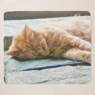 Sleeping Longhaired Ginger Cat Fleece Blanket