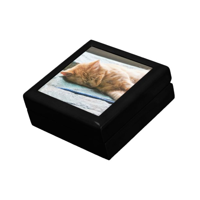 Sleeping Longhaired Ginger Cat Gift Box (Side)