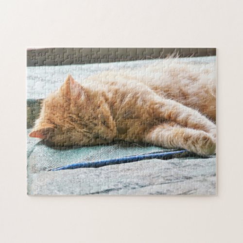 Sleeping Longhaired Ginger Cat Jigsaw Puzzle
