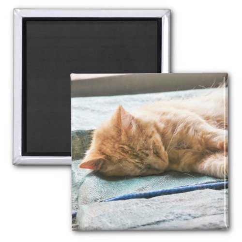 Sleeping Longhaired Ginger Cat Magnet
