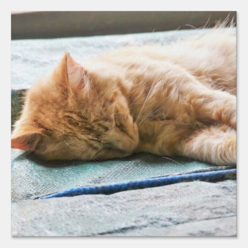 Sleeping Longhaired Ginger Cat Sign