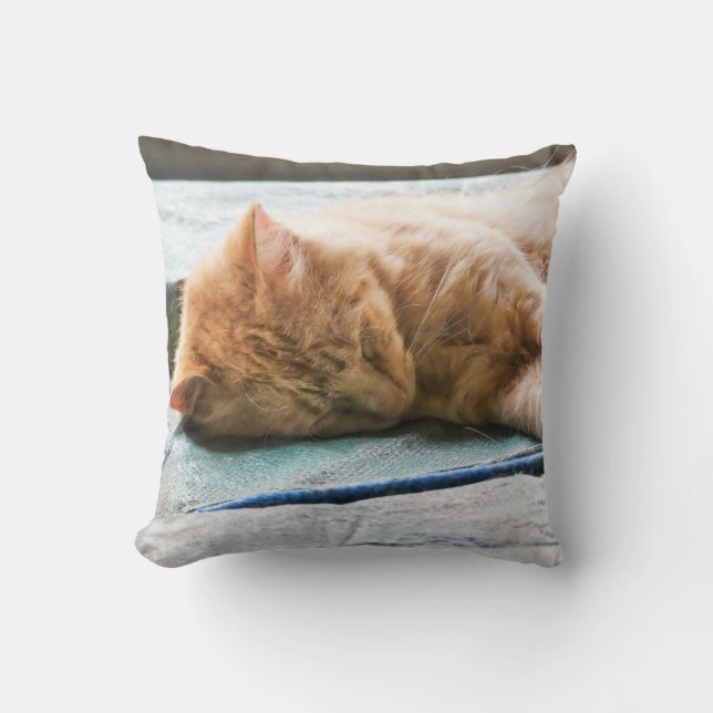 Sleeping Longhaired Ginger Cat Throw Pillow (Front)