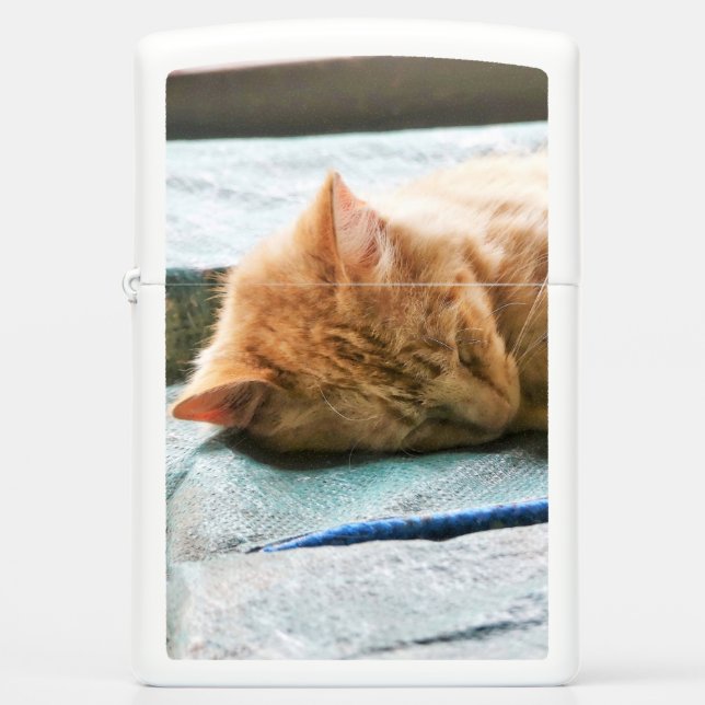 Sleeping Longhaired Ginger Cat Zippo Lighter (Front)
