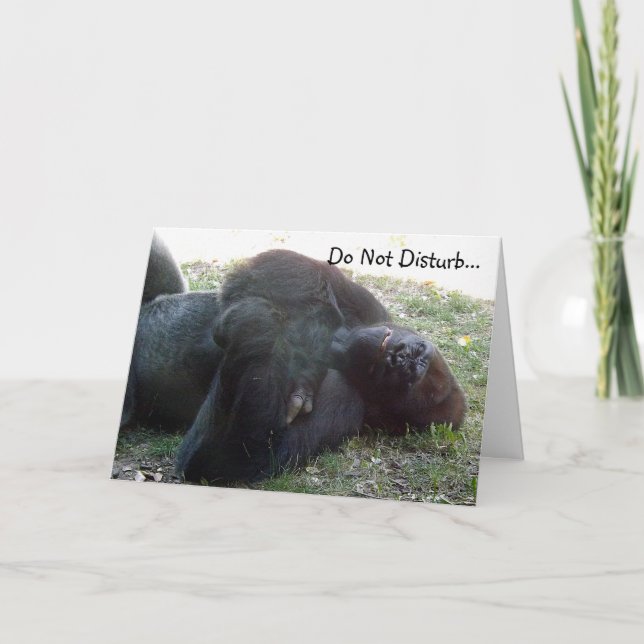 Sleeping Lowland Gorilla Do Not Disturb Card (Front)