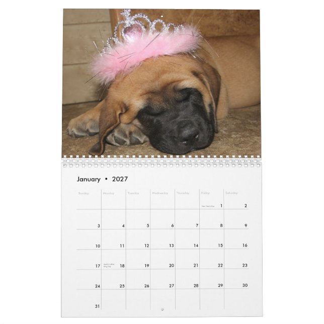 Sleeping Mastiff Calendar (Jan 2027)