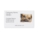 Sleeping Mastiff Dog Business Card