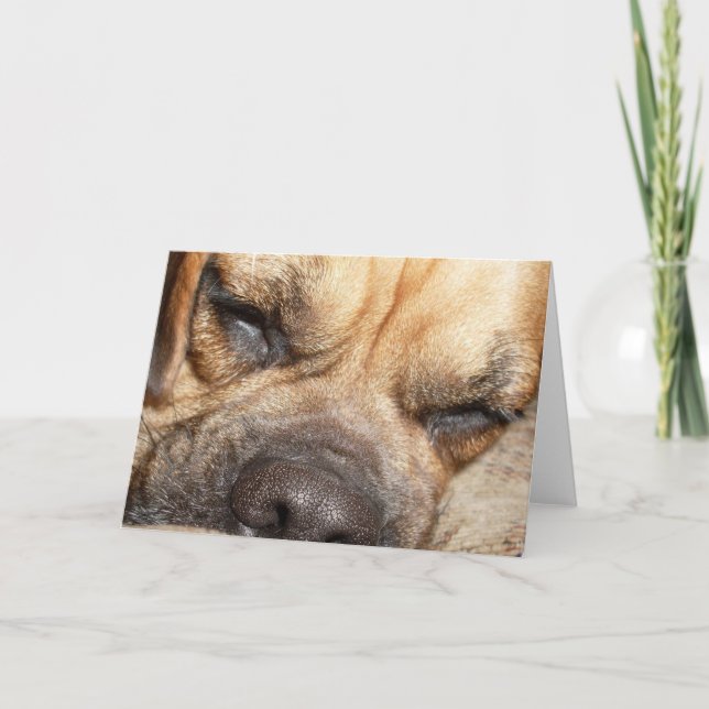 Sleeping Mastiff  Greeting Card (Front)
